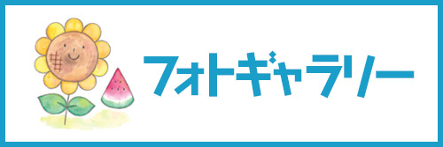 フォトギャラリー